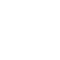 check check